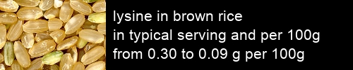 lysine in brown rice information and values per serving and 100g